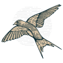 James L West Presbyterian logo