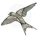 James L. West Center for Dementia Care