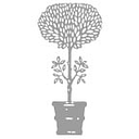 Janus et Cie logo