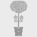 BAUGNIES et Cie logo