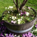 jardinature.net logo