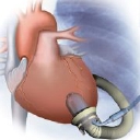 Jarvik Heart Incorporated logo