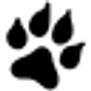 Jay Wolfe Honda logo