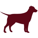 Jennings Veterinarians