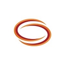 Jensen Hughes Logo
