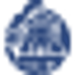 avatar logo
