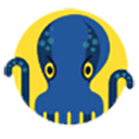 JetOctopus logo