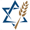 Jewish Voice Ministries Intl logo