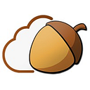 Nutstore logo