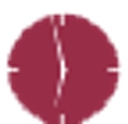 Tcs Industries logo