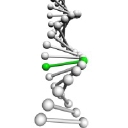 The Job Dna Group "Revolutionizing Hiring, Coaching & Training" logo