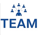 Team Network logo
