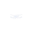Johnnys Ice House logo