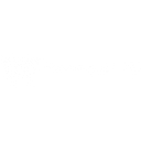 John Woods Lisglyn ltd logo