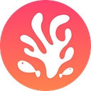 Coral Care