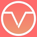 Vizer logo