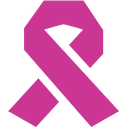 The Jone L Bowman Foundation Inc logo
