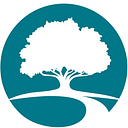Journey Vineyard Church logo