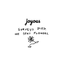 Joyous Limited