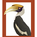 JungleWalla -Natural History Tours logo