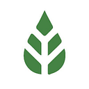 Jungley