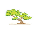 Just My Style Landscape Services, Inc.