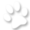 John Young Parkway Animal Hospital