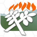 Kaimai Presbytery logo