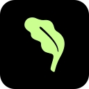 Kale