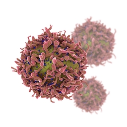 Kamau Therapeutics, Inc. logo