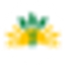 Kampo de Ervas logo