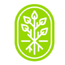 Kandelia logo
