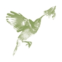 Kanegrade Ltd. logo