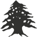 Kannon's Clothing logo