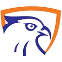 Karas Security Group logo