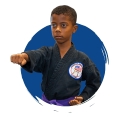 American Martial Arts Academy logo