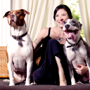 Karma Collars: Leather Dog Collars