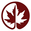 World Kashmir Awareness logo