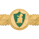 kasralainy.edu.eg logo