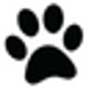 Katies Pet Depot
