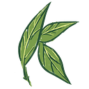 Katsbotanicals logo