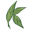 Kats Botanicals logo