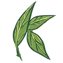 Kats Botanical logo