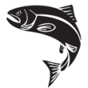 Catch the Cure Inc logo