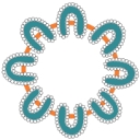 Kentish Lifelong Learning & Care Inc. logo