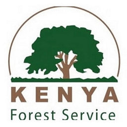 Kenya forest service