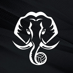 Kerala Blasters logo