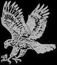 Kerrville Folk Festival logo