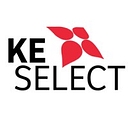 Ke Select   Scientific & Medical Recruitment Specialists logo