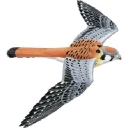 Kestrel Institute logo